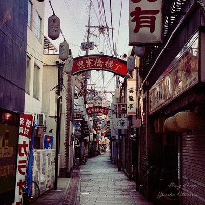 Stray Sheep Front Cover