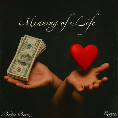 Meaning of Lifeのジャケット写真