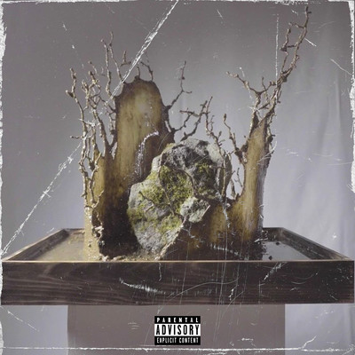 First Seasonのジャケット写真