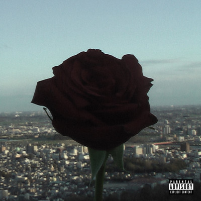 ASHIKAGA BLUESのジャケット写真