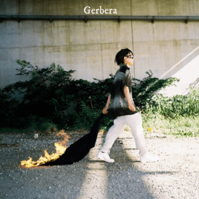 Gerbera Front Cover