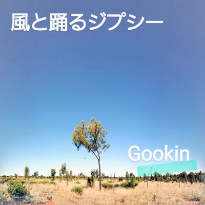 風と踊るジプシーのジャケット写真