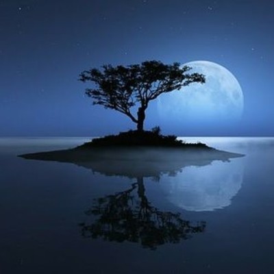 東尋坊の月のジャケット写真