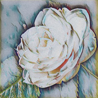 camelliaのジャケット写真