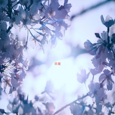 卒業のジャケット写真