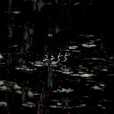 2255のジャケット写真