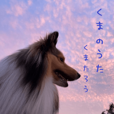 くまのうたのジャケット写真