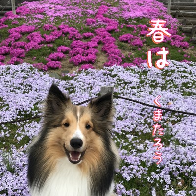 Spring (2022) Front Cover