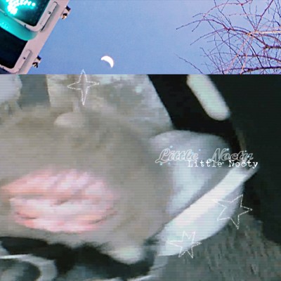Little Nocty Front Cover