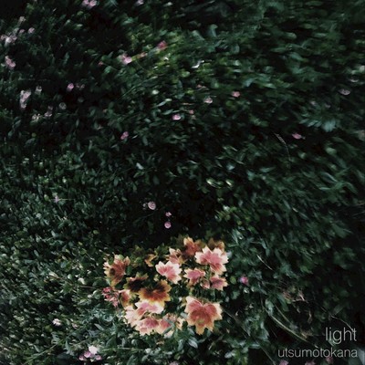 light Front Cover