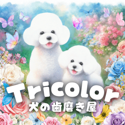 Tricolor Front Cover