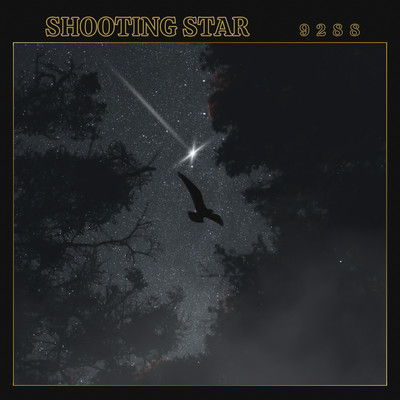 Shooting star Front Cover