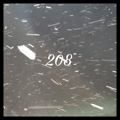 208のジャケット写真
