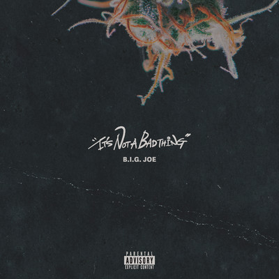 It's Not A Bad Thingのジャケット写真