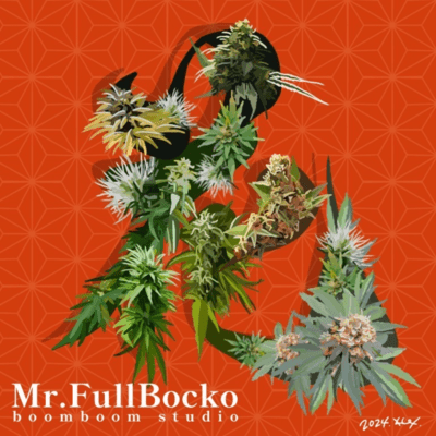 花のジャケット写真