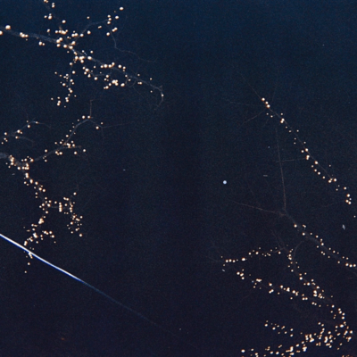 Like A Star Front Cover