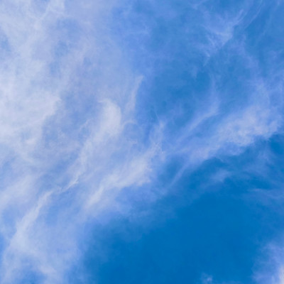 Merogram Front Cover