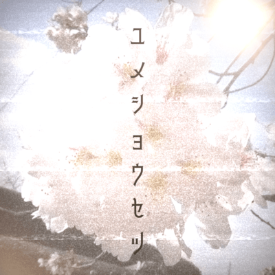 Dream novel Front Cover