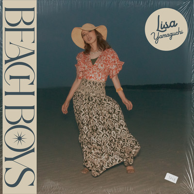 BEACH BOYSのジャケット写真