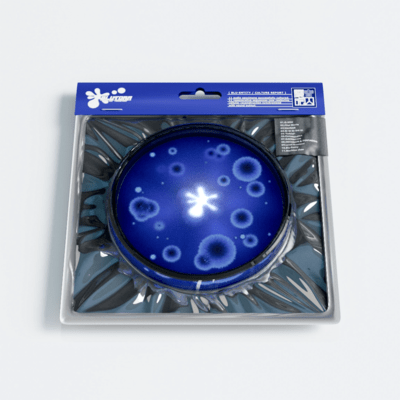 BLU-ENTITY Front Cover