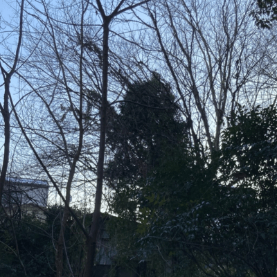 Lita (feat. Valious)のジャケット写真