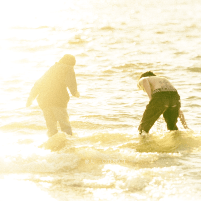 旅人のジャケット写真