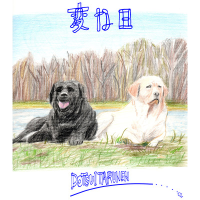 strange day Front Cover