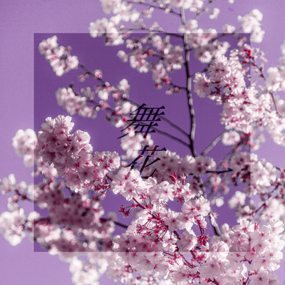 舞花のジャケット写真