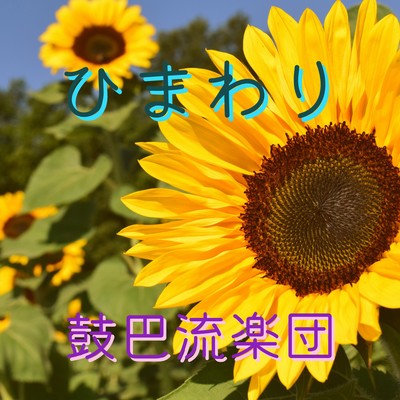 ひまわりのジャケット写真