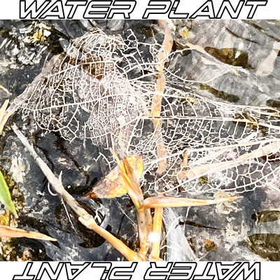 WATER PLANT (feat. ENEMY & ionloops) Front Cover