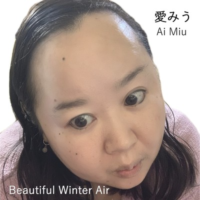 Beautiful Winter Air Front Cover