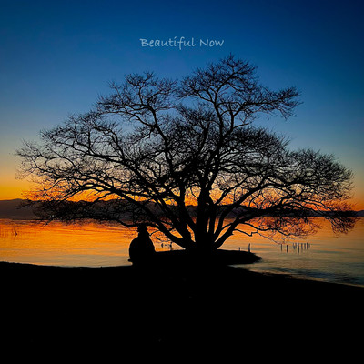 Beautiful Now Front Cover