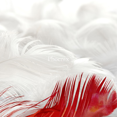 Phoenixのジャケット写真