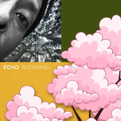 ECHOのジャケット写真