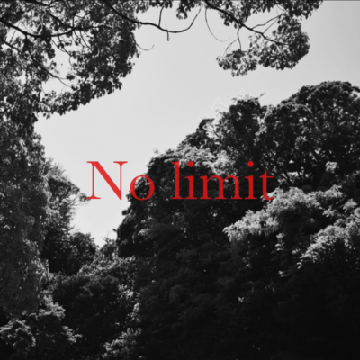 No limit Front Cover