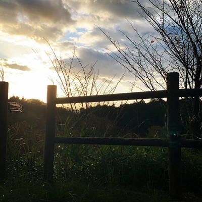 special meのジャケット写真