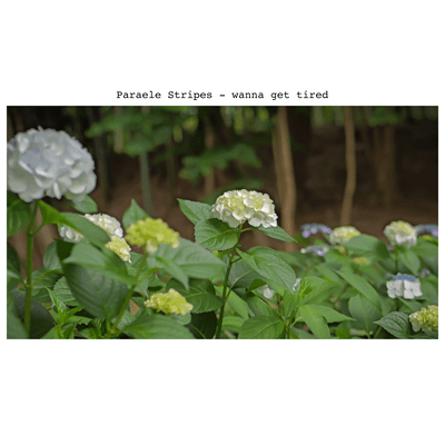 wanna get tiredのジャケット写真