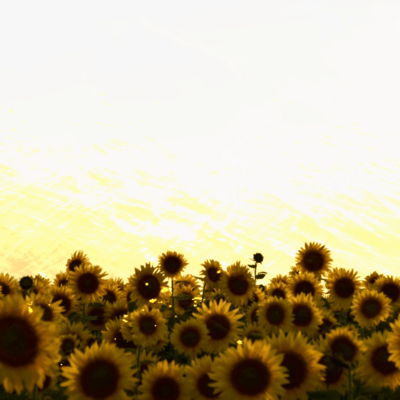 To you, on the other shore Front Cover