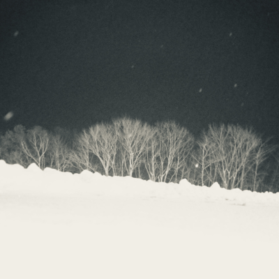 Albino Portrait Front Cover