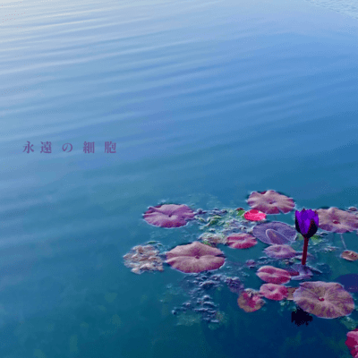 永遠の細胞 (feat. 伊平友樹)のジャケット写真