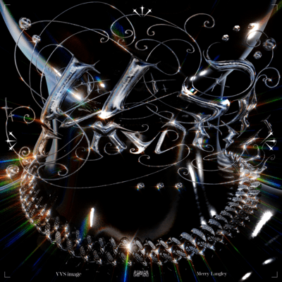 VVS Image Front Cover