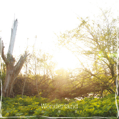 Wonderlandのジャケット写真