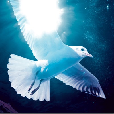 You-hen Front Cover