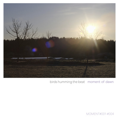 moment of dawn Front Cover