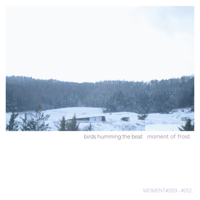 moment of frost Front Cover