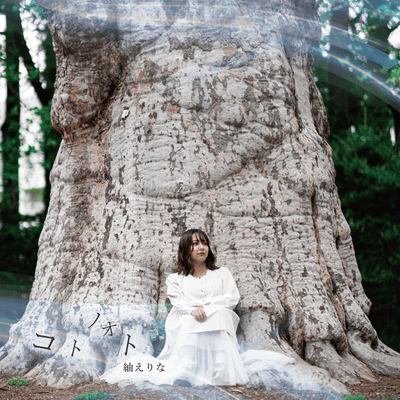 The sound of words Front Cover