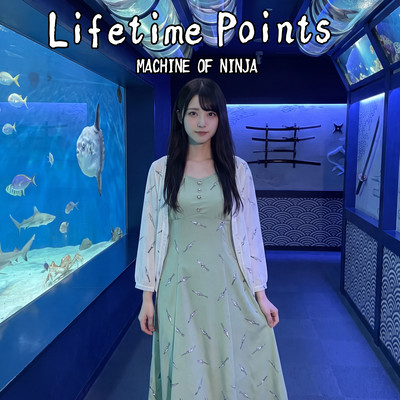 Lifetime Pointsのジャケット写真
