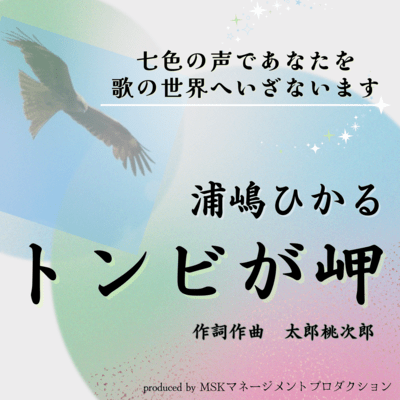 black kite flying cape (hikaru urashima ver.) Front Cover