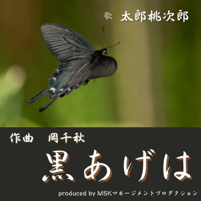 黒あげはのジャケット写真