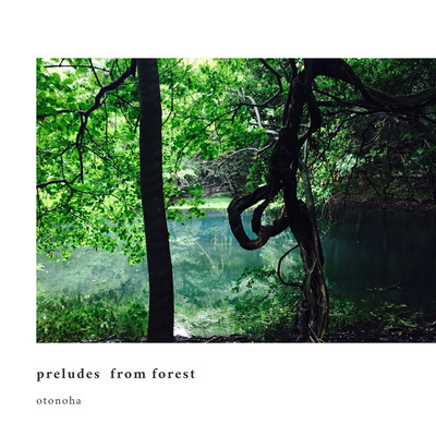 preludes from forest Front Cover